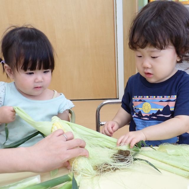 とうもろこし🐤🐰