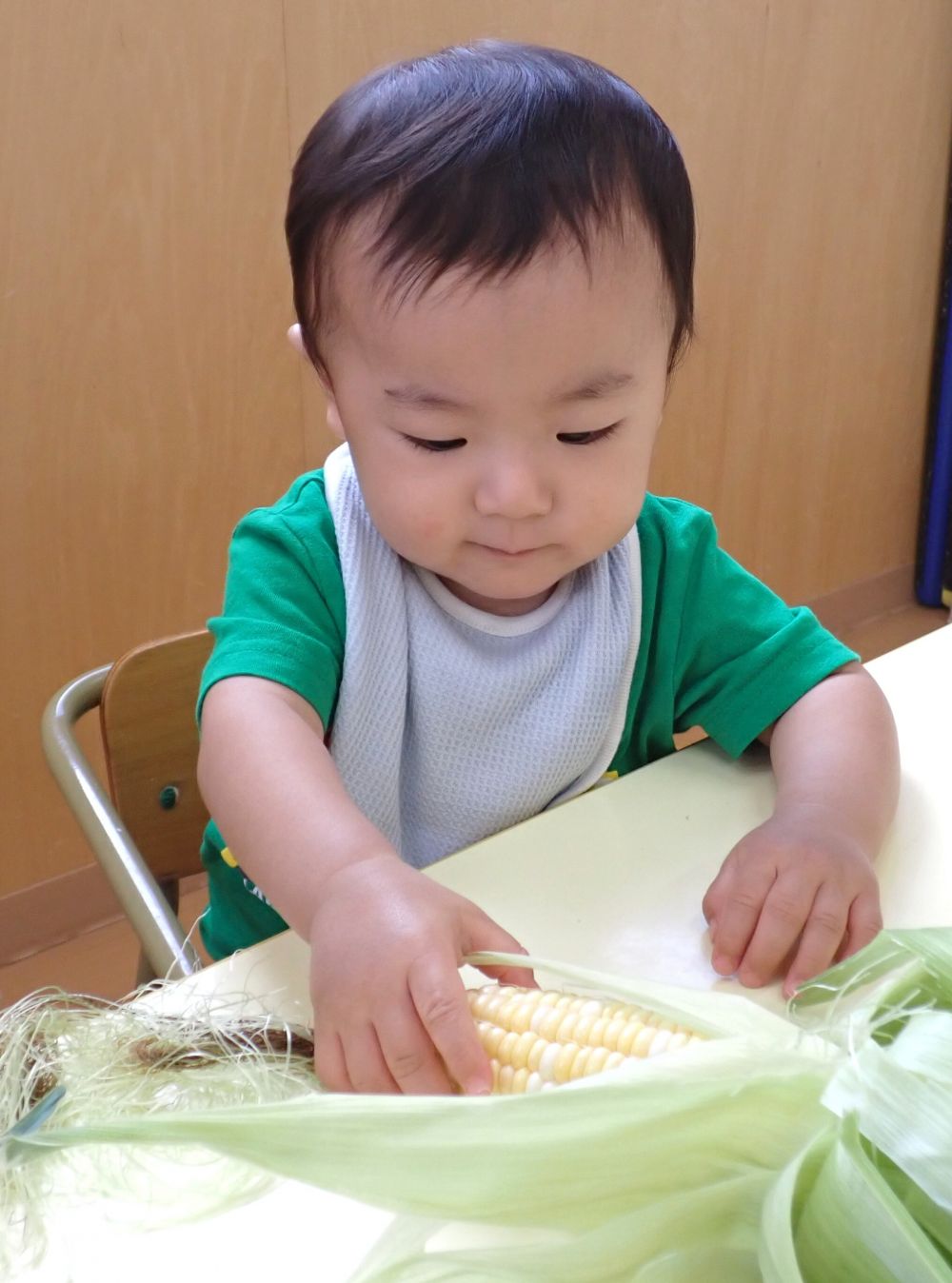 ウサギ組さんは
初めてとうもろこしに触ったよ🌽