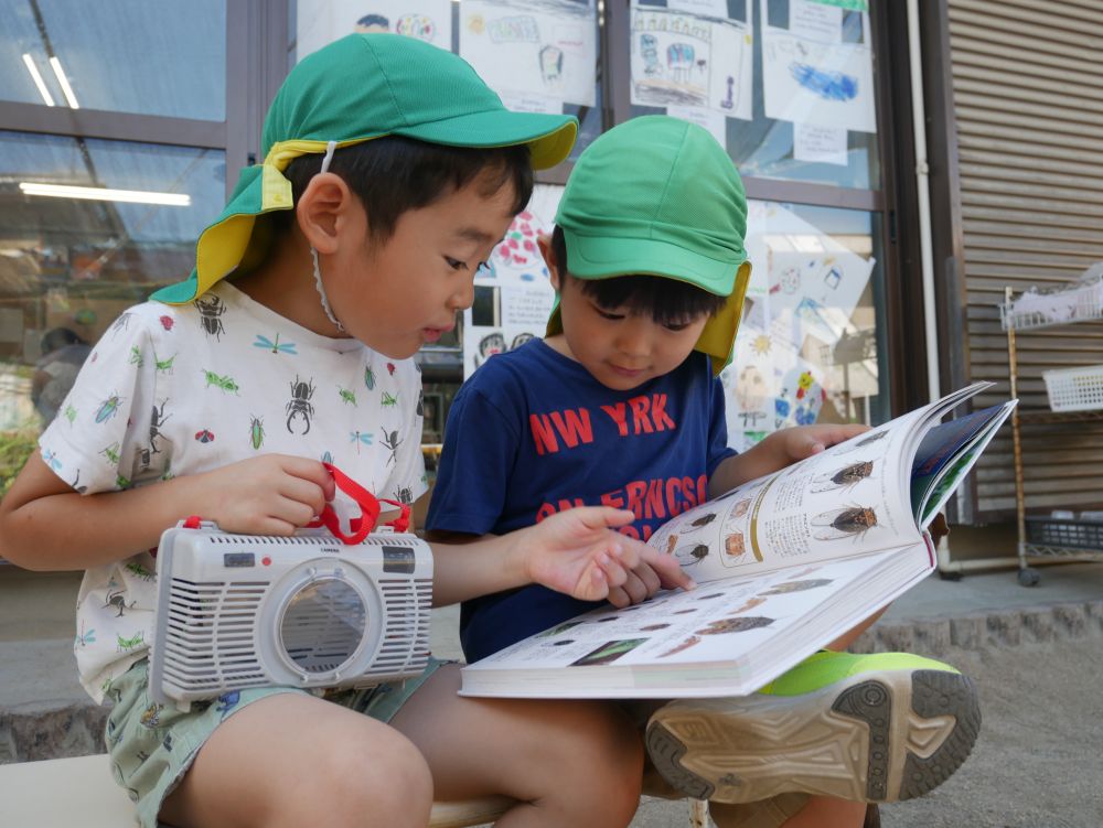「ちょっと調べよう!!」
「見て、種類によって鳴き声違うらしい」
「メスは鳴かんのんだって!!」
気になる事を自分たちで調べる姿が…
「俺もセミ捕まえたいな~」
よーし!!じゃあセミとりに行こう♡