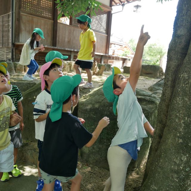 セミとり①　＊５歳児＊