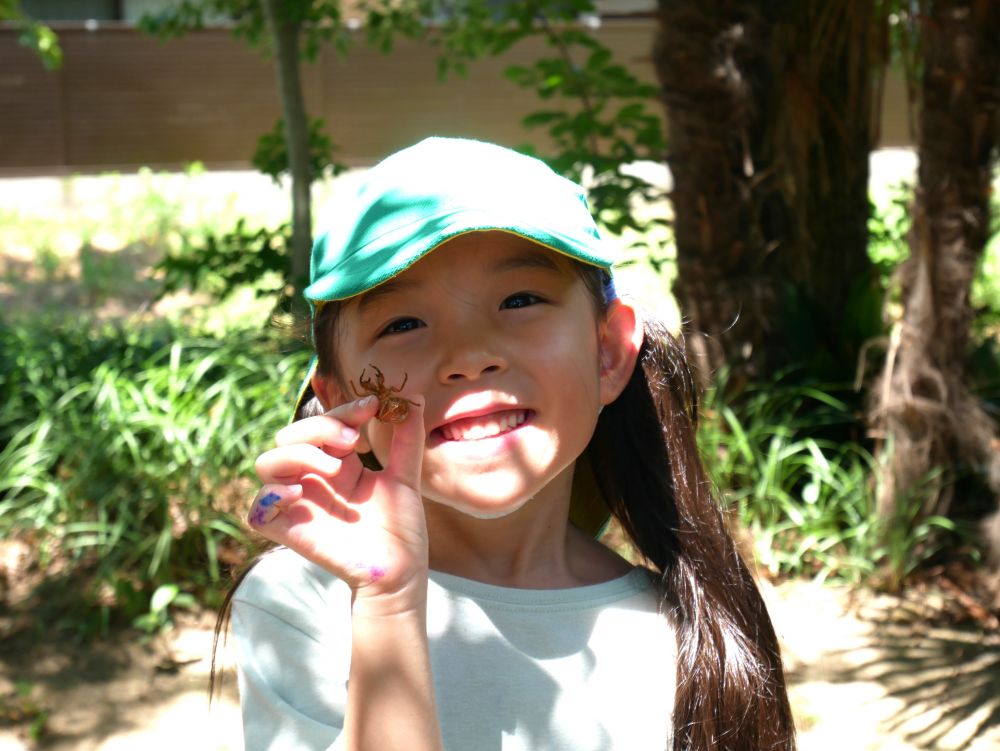 「セミ触れん～」　と言っていたHちゃん
それでも気になるのか友達を誘いセミを探す…
「抜け殻みつけた♡」　それなら触れる！！と
抜け殻をたくさん集めていました♪