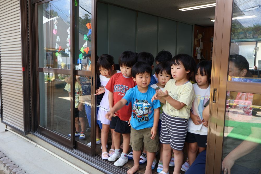 その後、捕まえたセミを逃がしてあげました!
「元気でね!」「ばいばーい」とゾウ組さん。
また、セミとりにいこうね♪