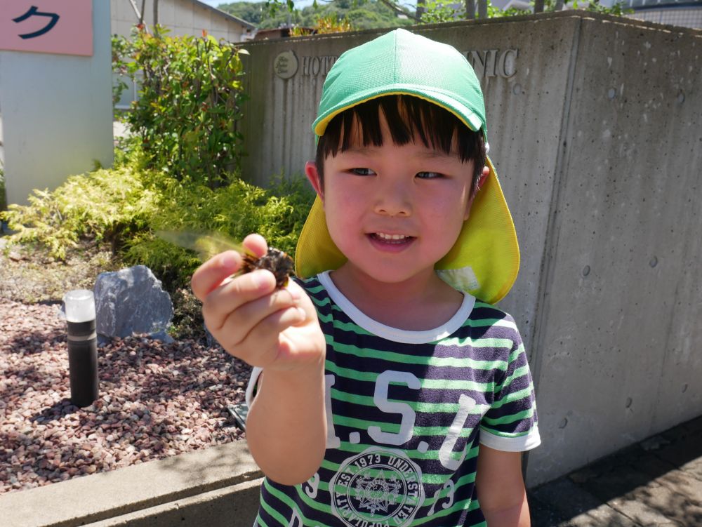 捕まえようとしたら何度も逃げられ
「くっそー…」 「おしい…」
「ミストみたいなのかけられた~」 と大爆笑
セミも逃げるのに必死♪
そろそろ帰る時間…と諦めた帰り道にセミゲット♡
「うるせーー♡」 とニッコリ満足そう♪