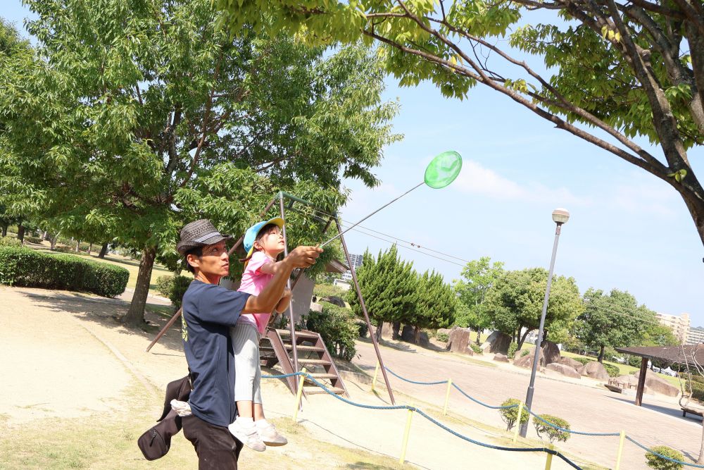 毎日毎日とても暑くて体調管理だけでも精一杯ですが、子ども達は元気モリモリ
「東尾道公園にセミ取りにいくよ!」
あまり乗り気ではなかったIちゃんですが、いざセミを捕まえると
大満足の様子でした