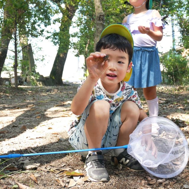 セミ取り第二弾①　＊５歳児＊