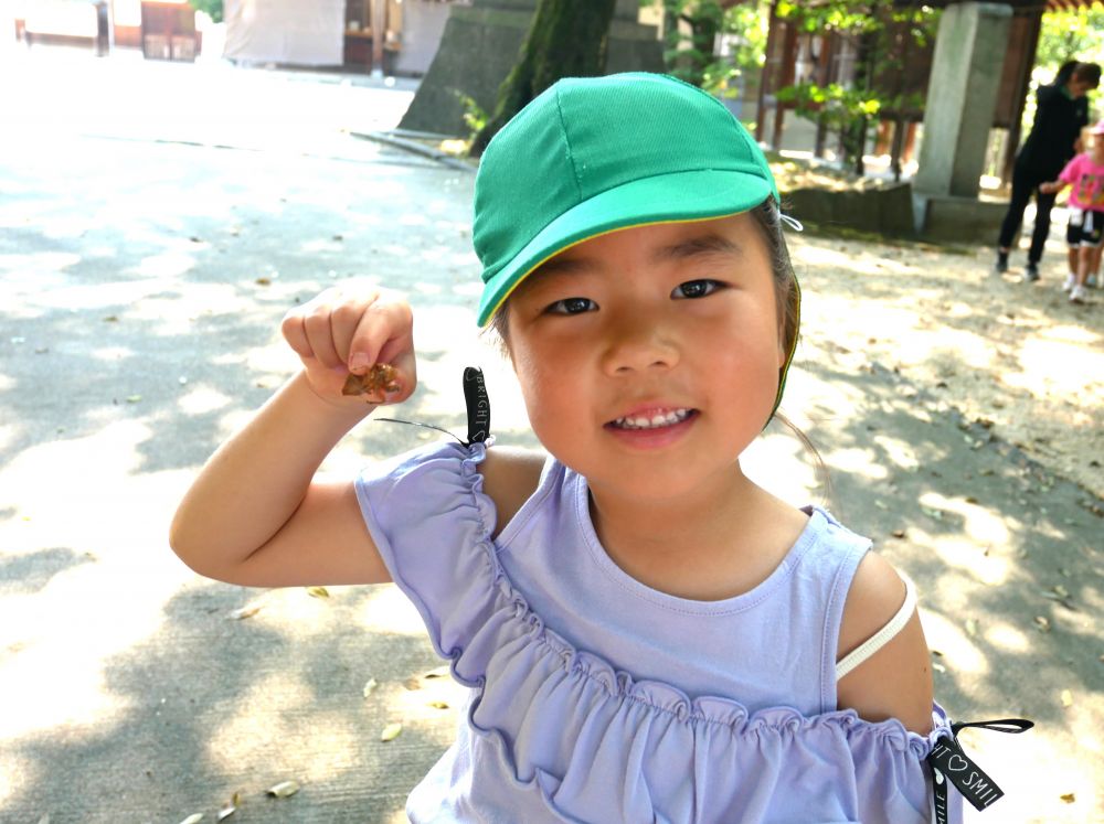 セミもそうですが…女の子の目的は抜け殻♡
「抜け殻み～っけ♡」
「高いとこにいっぱいおる！！」
虫が触れない…苦手…と言う子も
それぞれの楽しみ方を見つける