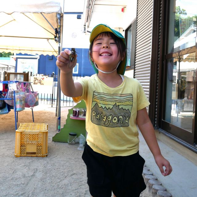 セミ取り第二弾②　＊５歳児＊