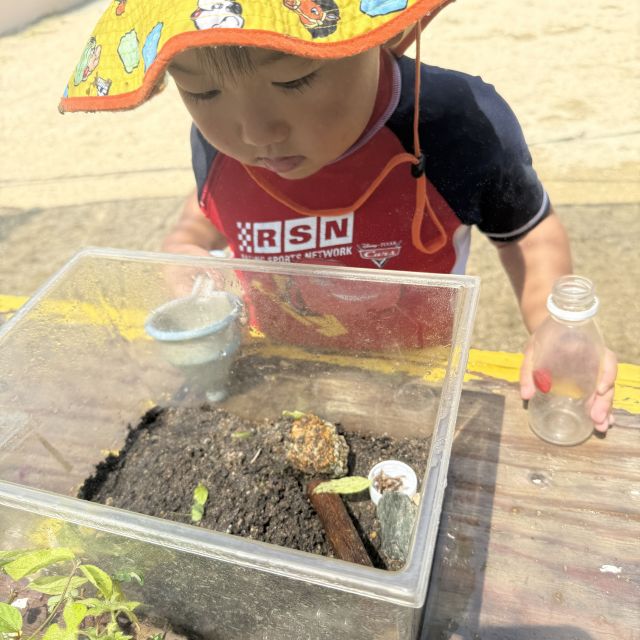 トカゲ仲間入り　 ～2歳児　 クマ組～