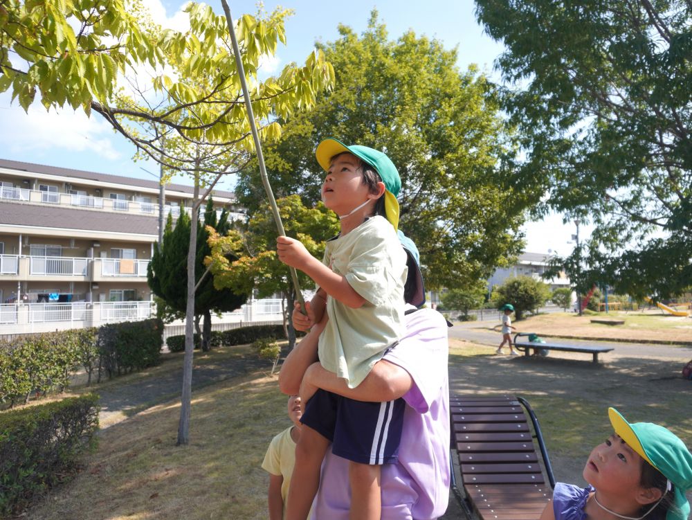 みんなの身長と網の長さでは届かないことも多くて…
先生と協力♡
