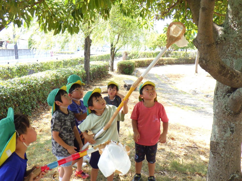 場所を移動して・・・
セミ取り再開!!!
逃げられても諦めません!!