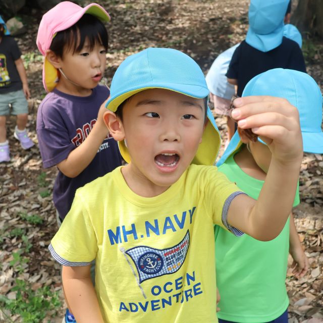 今日もセミとり　＊４歳児＊