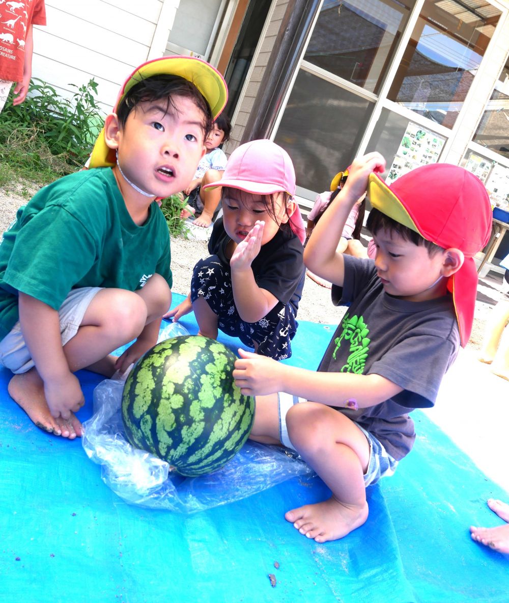 『叩いて割れたらどうする?』
『エイッ!!』
『チョップ!!』
『割れないね・・・やっぱり固いんじゃね』
色々試してみたけど割れず・・・