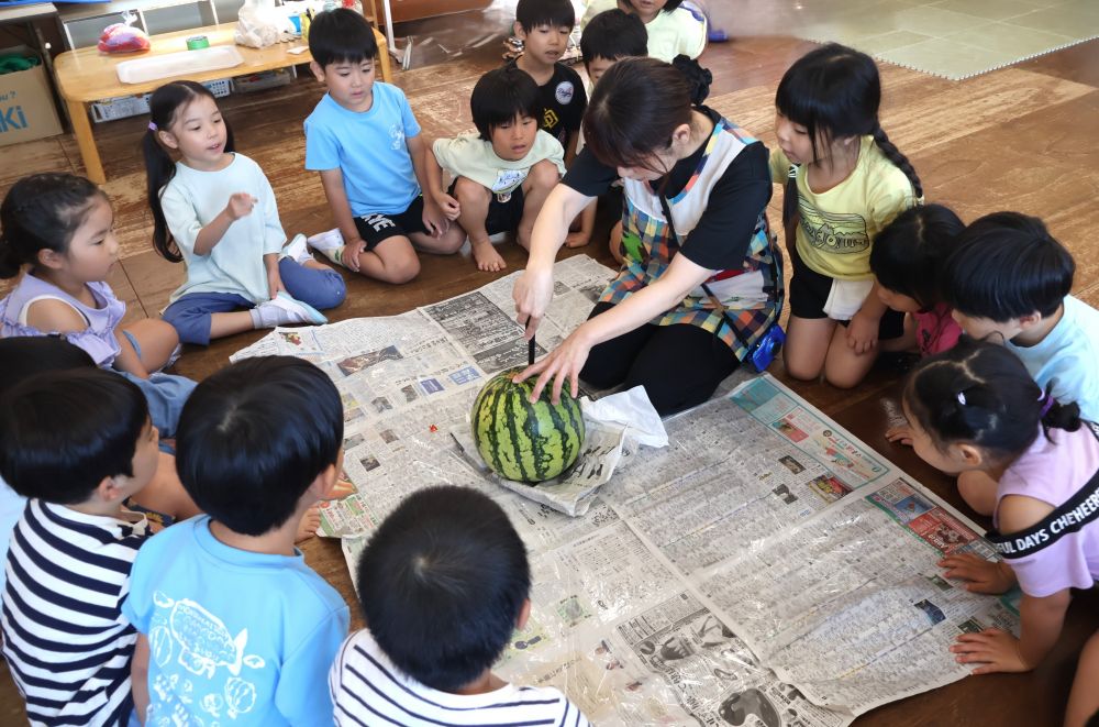 みんなが収穫したのよりも大きなスイカ🍉
なかなか割れなかったけど
ヒビが入っていたので岸川先生が
目の前で切ってくれました♡
おやつが楽しみです♪