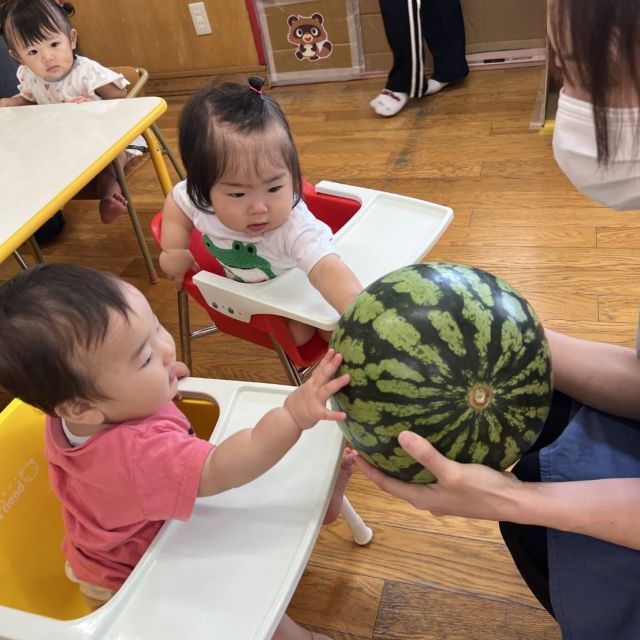 食育の日　　～０歳児　ウサギ組～