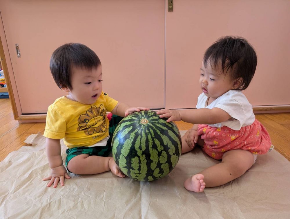 最初は怖くて、すいかを手で転がして
離していたGくん
お友達が触っているのをみて
最後は一緒に
触ってましたよ。