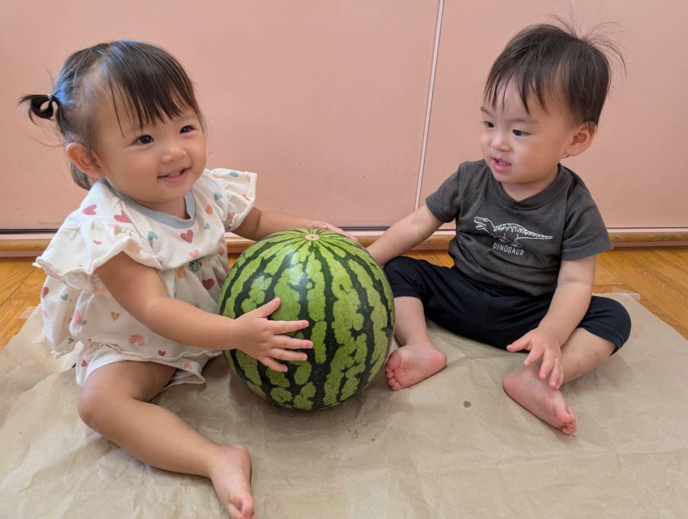 大きなスイカを触ってみたり、
叩いてみたり、転がしてみたり・・・
それぞれ思い思いに食材に触れていました。