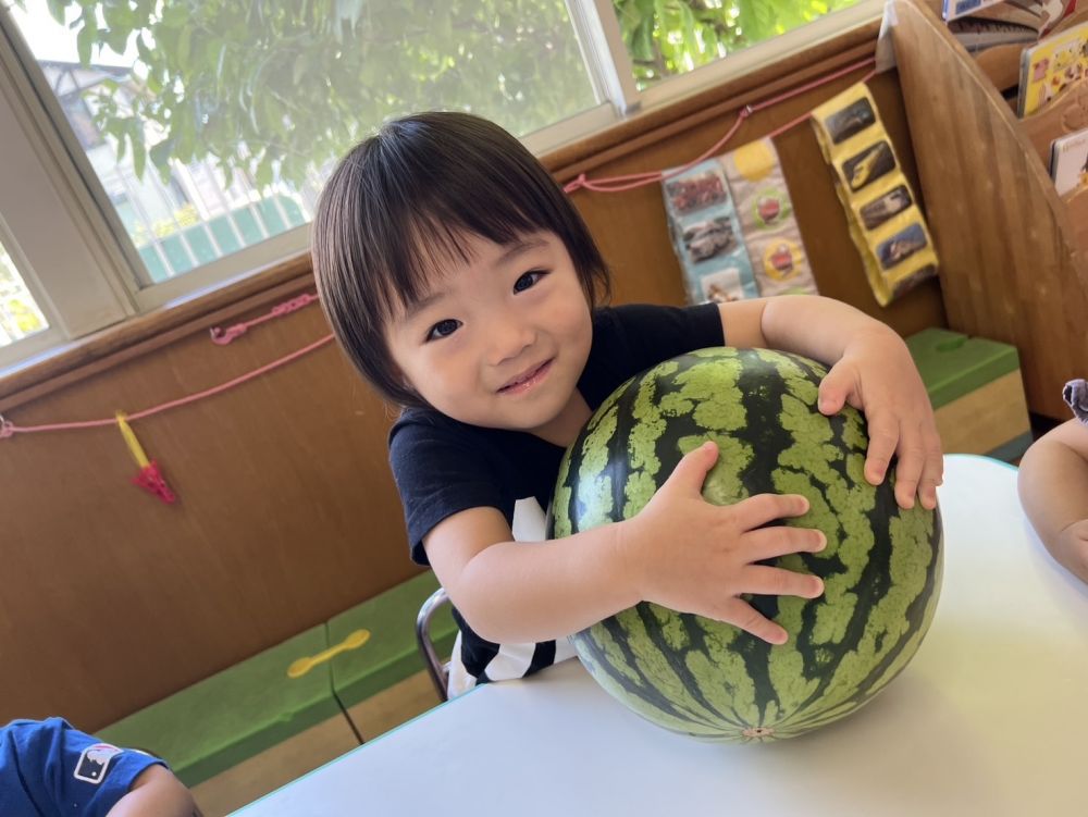 今月の食育は"すいか"を触りました😊

大きなすいかに大興奮!!!