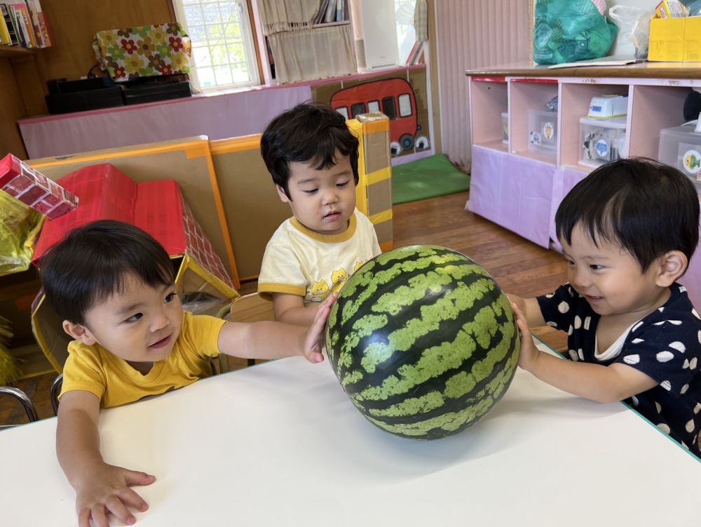 手を伸ばして触ってみたり･･･
少し転がしてみたり･･･

みんな興味津々でした‎🤍