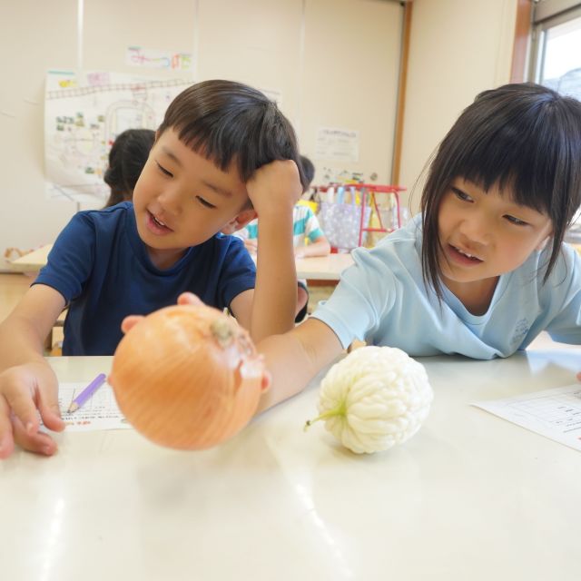 ＊　５歳児　野菜実験①　＊