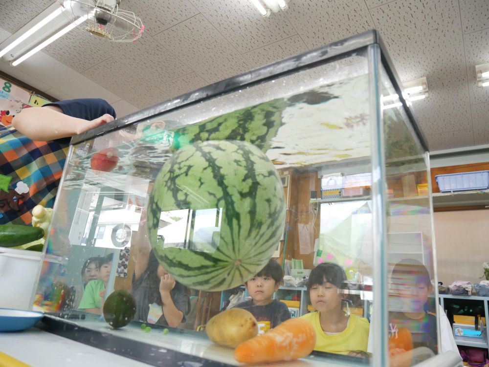 なんで!!すごい!!小さいのに?
驚いたり…不思議に感じたり…
面白いと感じながら野菜に触れる
「よっしゃー!!」 「なんで~…」
予想が当たっても外れても大盛り上がり♪