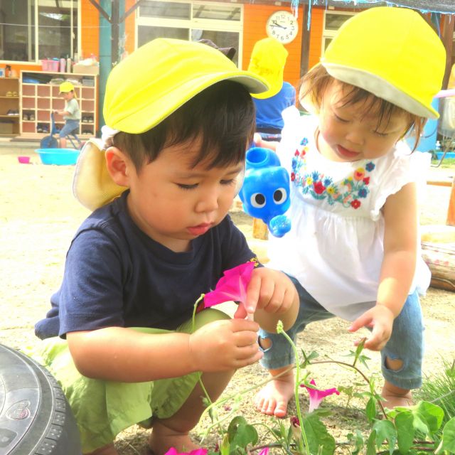 ＊　1歳児　色水遊び　＊
