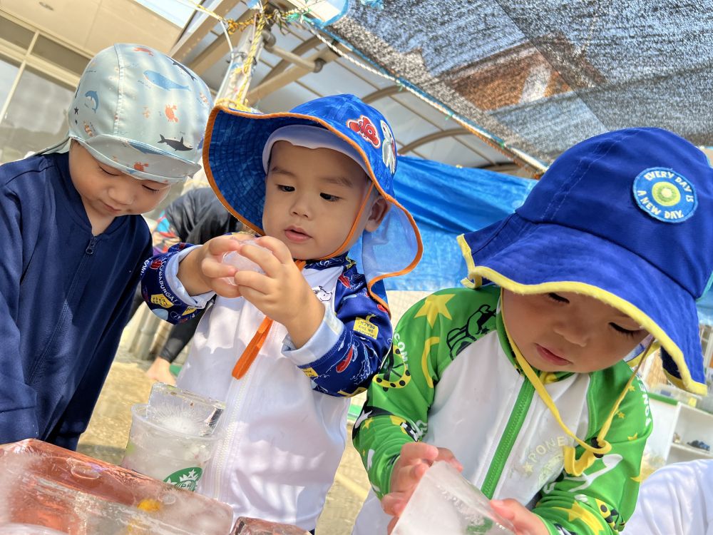 氷あそびをしたよ。
氷を見つけると
ツンツンと触ったり、持ってみたり・・・
みんな興味津々!!