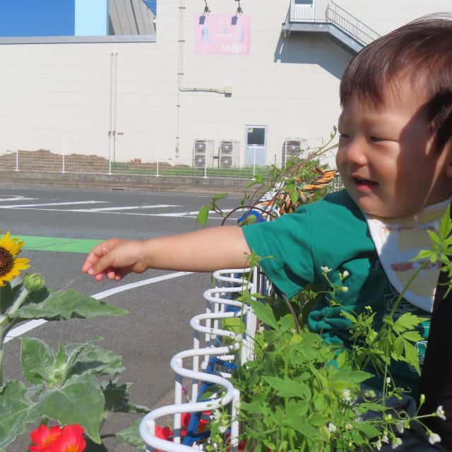 夏の思い出　～花～