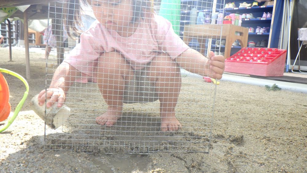 何かを一生懸命頑張ってるHちゃん…
近づいてみると…
バ-ベキュ-のあみを試行錯誤しながら立たせようと頑張っていました
カップで土を網に何度もかけては固めて、それでも網が倒れるようなら
今度は後ろにまわって同じ様に全体に土をかけて固めて一生懸命考えて集中して頑張る姿
とてもステキでした♡