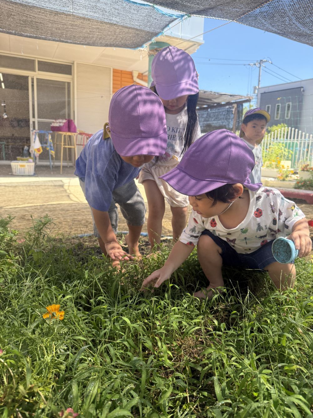 園庭の花壇の草むらで…
虫探しに夢中🔎

「しー☝️」
「ばったがおるからしーよ！」

逃げられないようにそーっと近づきます。