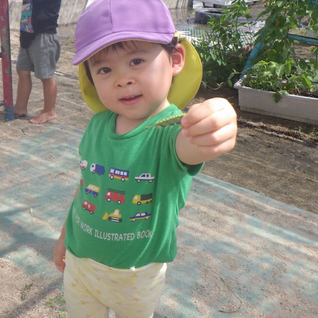 ＊　2歳児　　園庭遊び2　＊