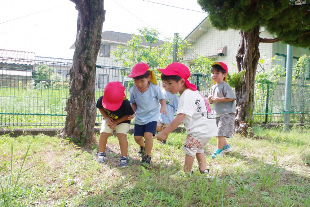 虫探しが大好きな男の子チーム!
ぴょんぴょん跳んでいるバッタを発見!!
Sくん「今そっちでとんだよ!」
Aくん「どこどこ!?」
すばしっこいバッタ、捕まえられたかな~?