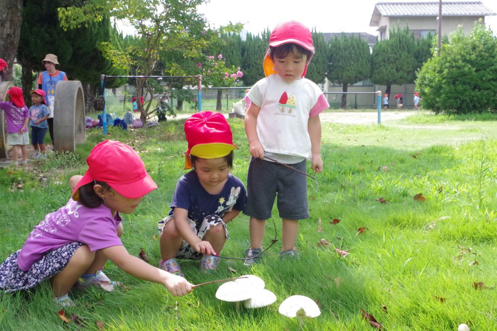 公園にきてすぐに見つけていた大きなきのこ🍄
Nくん「でっかいねぇ」
Iちゃん「つんつんしてみよう!」
Kちゃん「ポコポコってきこえる♪」
公園のきのこを探して探検ごっこも楽しそうだね♡
楽しく遊んで、運動会に向けての体力もつけていきたいと思います✨
