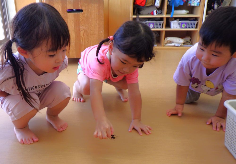 保育園に連れて帰ったけど
まさかの脱走😆💦
「わたしに、まかせて✨」