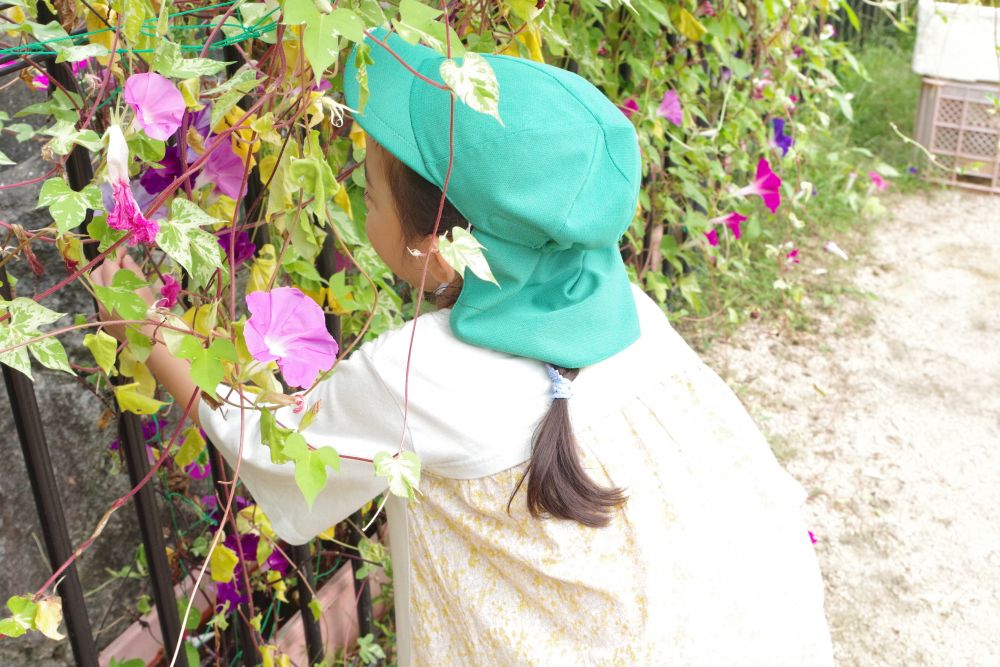夏の間、たくさん色水づくりをして遊んだ朝顔。
門田の園庭の朝顔はまだまだ元気!!
たくさん綺麗な花が咲いているので、なにかできないかな~・・・?
と、探してみると、『たたき染め』・・・!?
ちょっと気になるやってみよう!!
まずは大きな花を探して・・・
Hちゃん「むらさきとピンク、どれにしようかな~?」