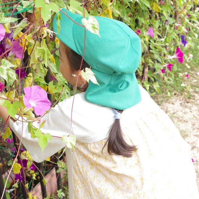 朝顔のたたき染め