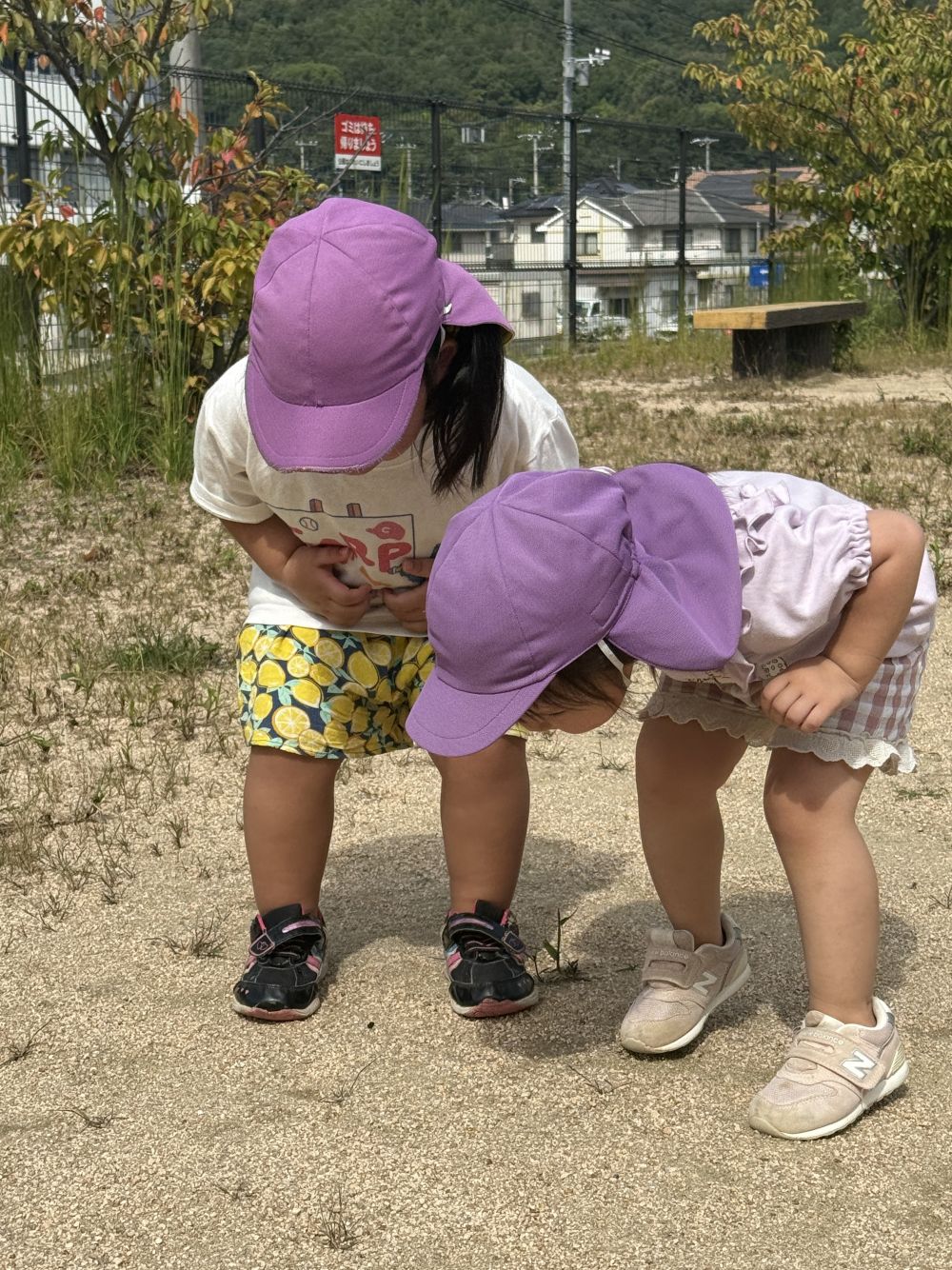 練習の後は、
広場で遊んだよ🌟
大好きな広場。
久しぶりの広場にみんな大喜び♥️
「せんせーなんかとんだよー!」と、
Rちゃんと、 Rちゃん☺️
バッタを捕まえようと、
目を光らせて探していました🦗