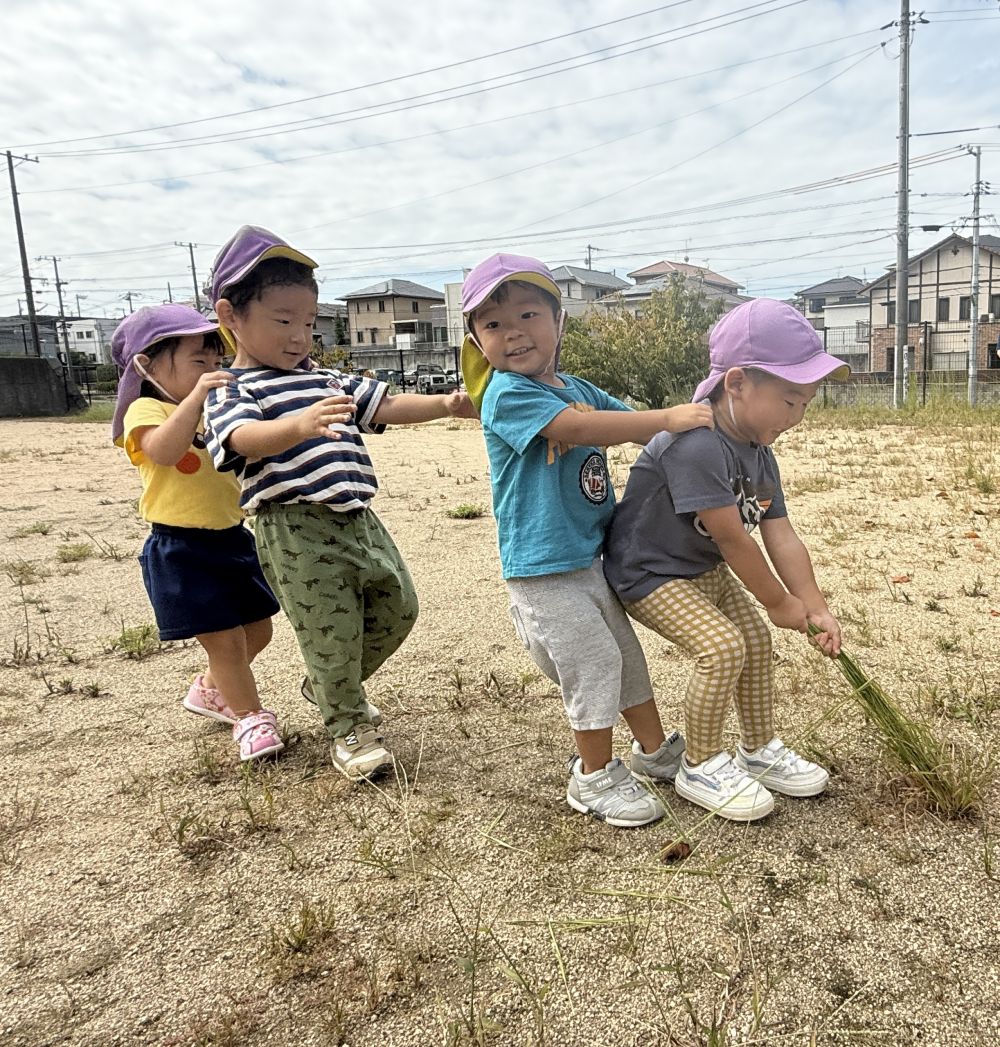 うんとこしょー♩
どっこいしょー♩
最近好きな、いもほりのうた。
いもほりのうたに合わせて、
友達と力を合わせて💪
中々抜けません!!
おっとっとっと~!