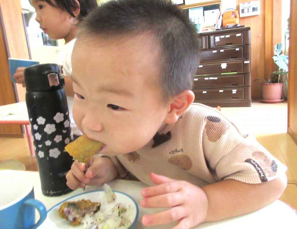 今日の給食では、今が旬の【さんま】が登場！
青魚で栄養満点だけど、子ども達にはどうかな～と、少し心配もあり・・・

2歳児さんの保育室へ様子を見に行ってみると、
上手にフォークを使い、もりもり食べている姿が見られました♪
「さんまの味はどうかな？」と聞くと、にっこり笑顔で「好きな味！！」と応えてくれました♪
カレー味を気に入ってくれたのか、夢中で食べている姿に一安心。