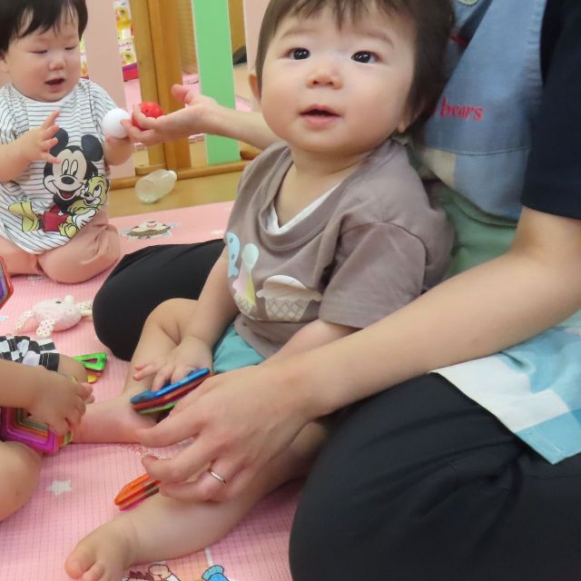 新しいお友達🐰