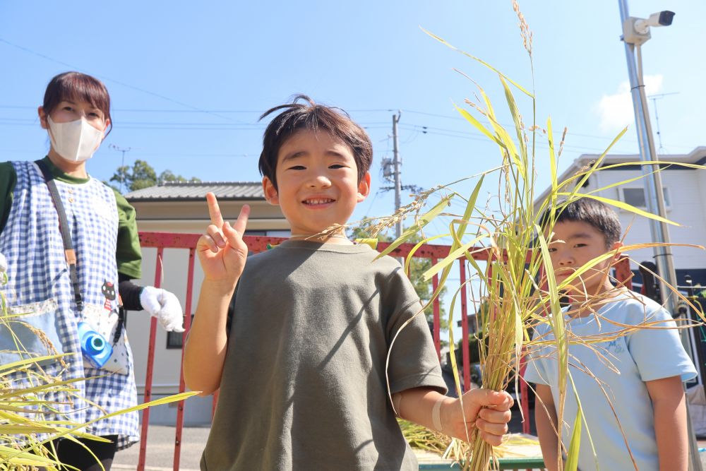 「固い…」　「切れた！！」
「お米ってこのまま食べれると思う？」と聞くと
「なんかゴリゴリしたりするんよね！！」
と知っていることを口々に♪

様々な食育活動を通して
食べる事って大事な事なんだ！！と
感じるきっかけになると嬉しいです♡