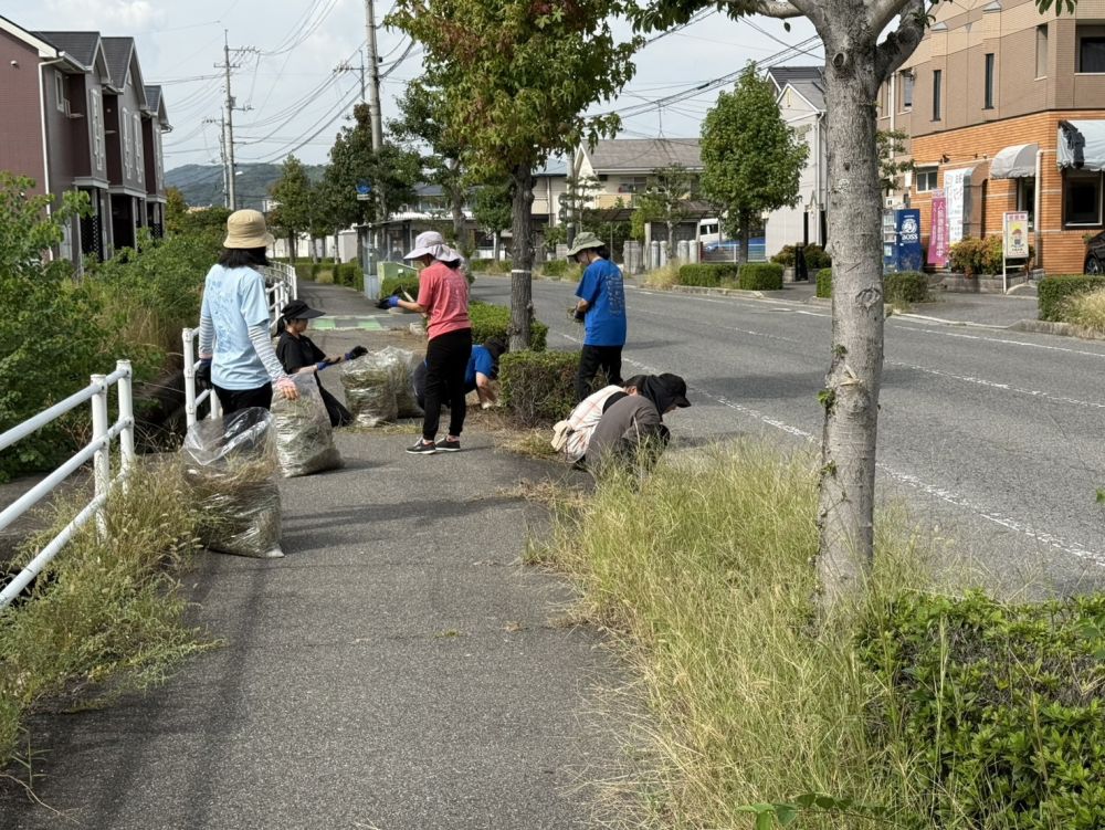 秋のシティークリーニングの時期がやってきました
夏の暑さと雨により背丈が春よりも伸びているように感じます