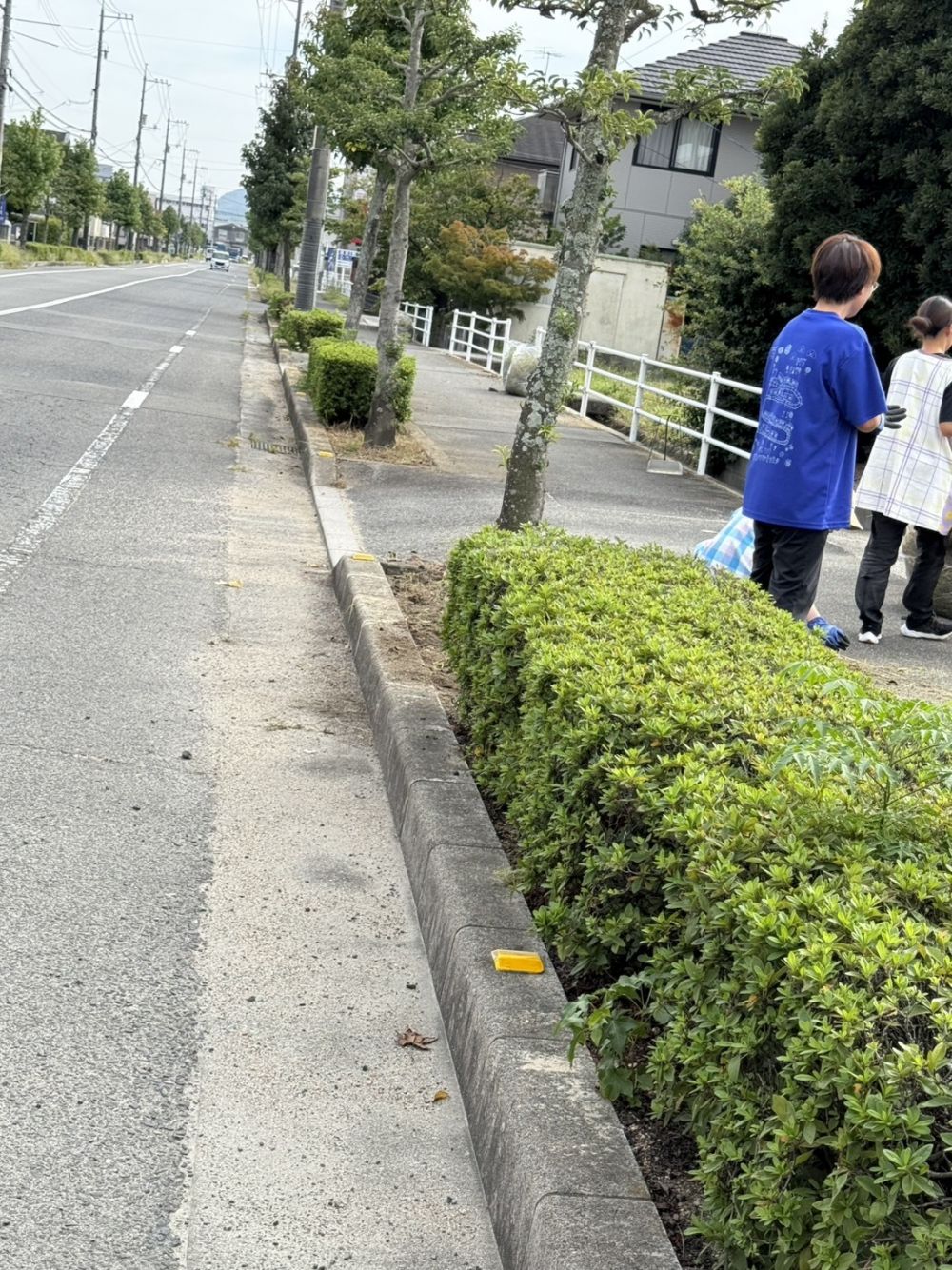 どっしり腰を据えて14人で草を取ること約1時間
普段のマラソンコースを中心に取りました
なんということでしょう!?
こんなにキレイになりました