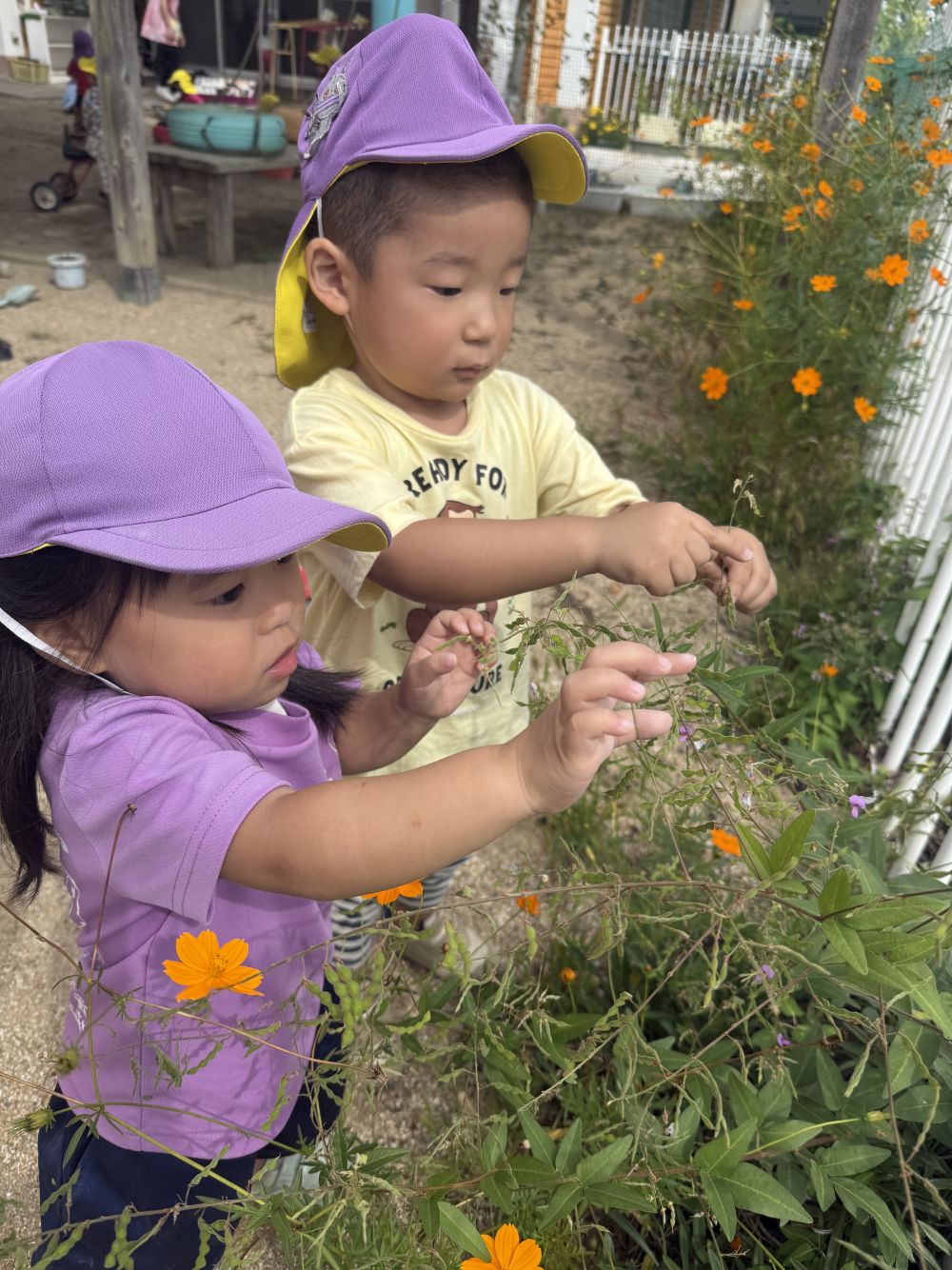 今年もこの季節がやってきた!!
くっつき虫🌿
公園や草むらを歩いていると…
知らぬ間にくっついてる…
調べてみると、
『ヌスビトハギ』とゆうそうです。
名前の由来は、三角の形がドロボー(盗人)の足跡に、
似ているからだそうです。
あいはうすの園庭には、
毎年ここに出てきます!!
それを見つけたのは、
SくんとMちゃん👀