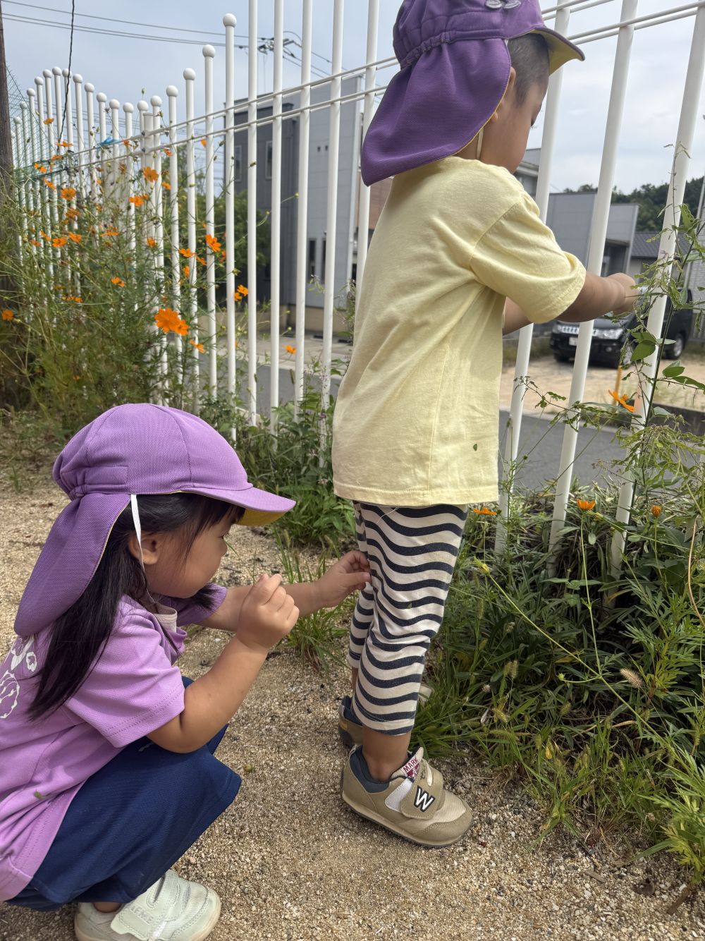 指先を使って上手にちぎって…
集めたくっつき虫は…
そっと気づかれないように、
お友達につけちゃう😆
Sくんは取るのに必死で、
気付いていません!!
そんなMちゃん…自分はつけられていない!と、
思いながら、友達の服に付け続けていますが…
よく見ると、Mちゃんも服に付いているよ☺️
気付かずに一生懸命つける姿が可愛すぎました♡