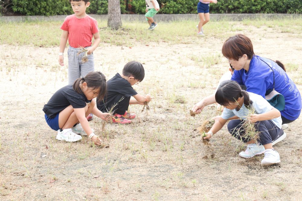 練習の合間に、夏の間に伸びた雑草を子ども達と一緒にとります
完璧ではないものの、ただ公園を使うだけではなく、みんなが使いやすいように考えて行動する素晴らしさも経験として積んでいきます