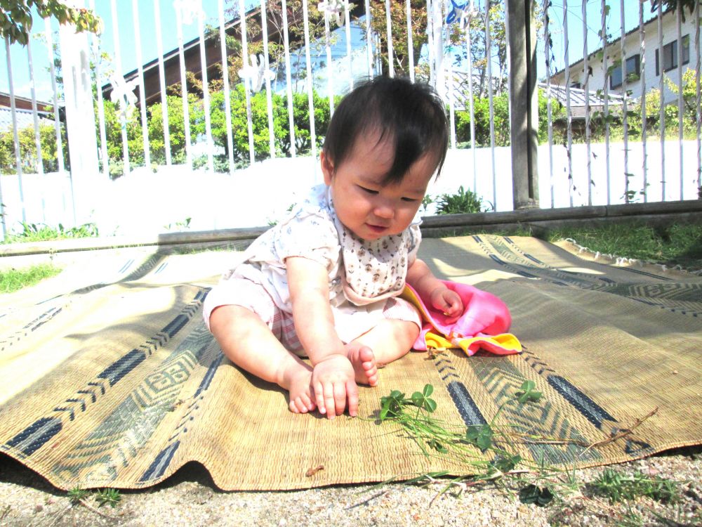 外に出ると、お花や、葉っぱなどにも興味津々!!
そっと手を伸ばしたり、にぎにぎしたり、のんびり楽しみます