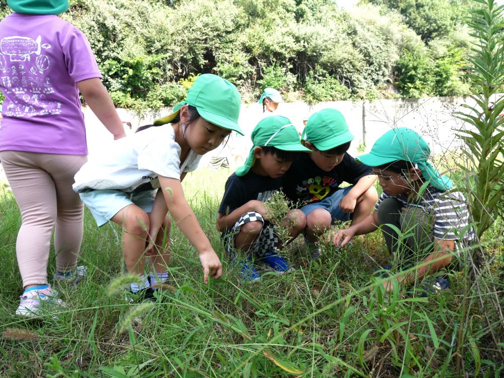 涼しくなり散歩もしやすくなってきて
トンボにバッタ、秋ならではの虫もたくさん！！
男の子も女の子も虫探しに夢中♡