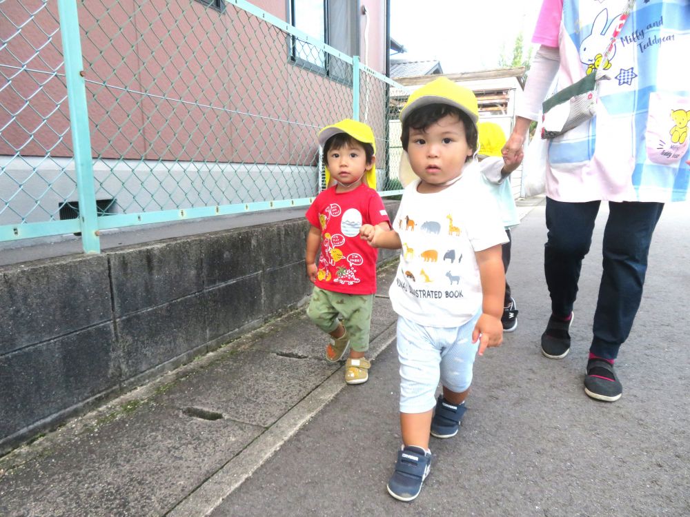 毎日バッタやトンボなど虫を探して走り回っているヒヨコ組さん
大好きな虫を探しに散歩に行ってきました
「行ってらっしゃ~い!」
リス組さんに見送られ
元気よく出発したお散歩♪
友達の手をギュっと握り
4月とは比べ物にならないほどしっかりとした足取りで歩き始めます