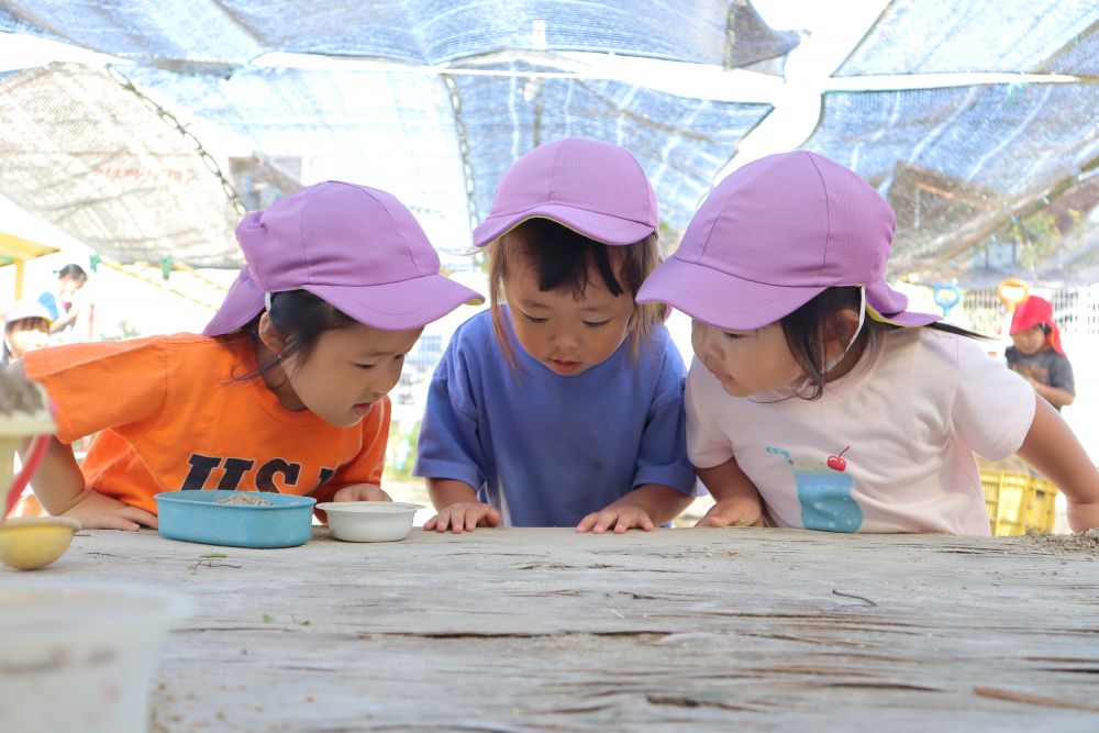 みんなでケーキ作りをしていると
「あ！！虫！！」
葉っぱの中から、小さな小さなイモムシが出てきました


「動いてるね～」
「ちっちゃくてかわいい♡」
「お腹空いているかな？」
イモムシを囲んで会話が弾みます