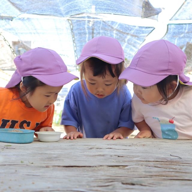 ＊　２歳児　みつけた　＊